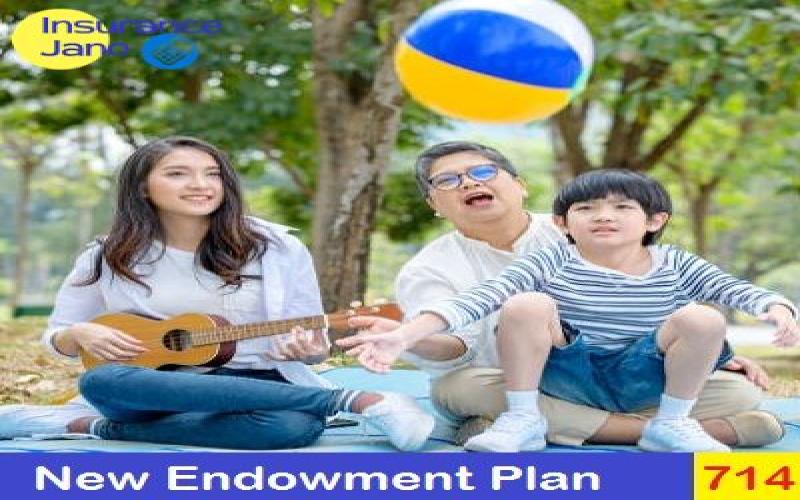 New Endowment Plan 714